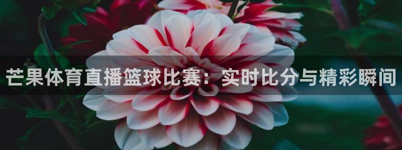 51视频在线直播nba：芒果体育直播篮球比赛：实时比分与精彩瞬间