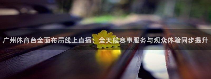 51视频在线直播nba：广州体育台全面布局线上直播：全天候赛事服务与观众体验同步提升
